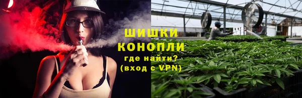 дурь Белокуриха