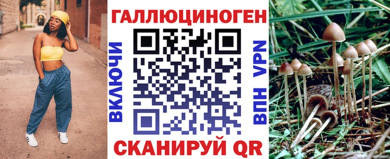 Купить  Теберда  Галлюциногенные грибы Cubensis 